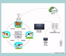 一個你不知道的神器！不了解它，連牛羊都不讓你養，你還談什么智慧養殖？